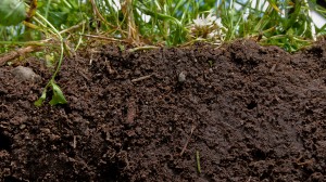 Soil-Health
